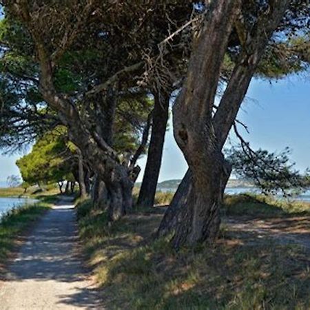 Agreable Maison De Famille Sur Gite Echarou Sigean Exteriér fotografie