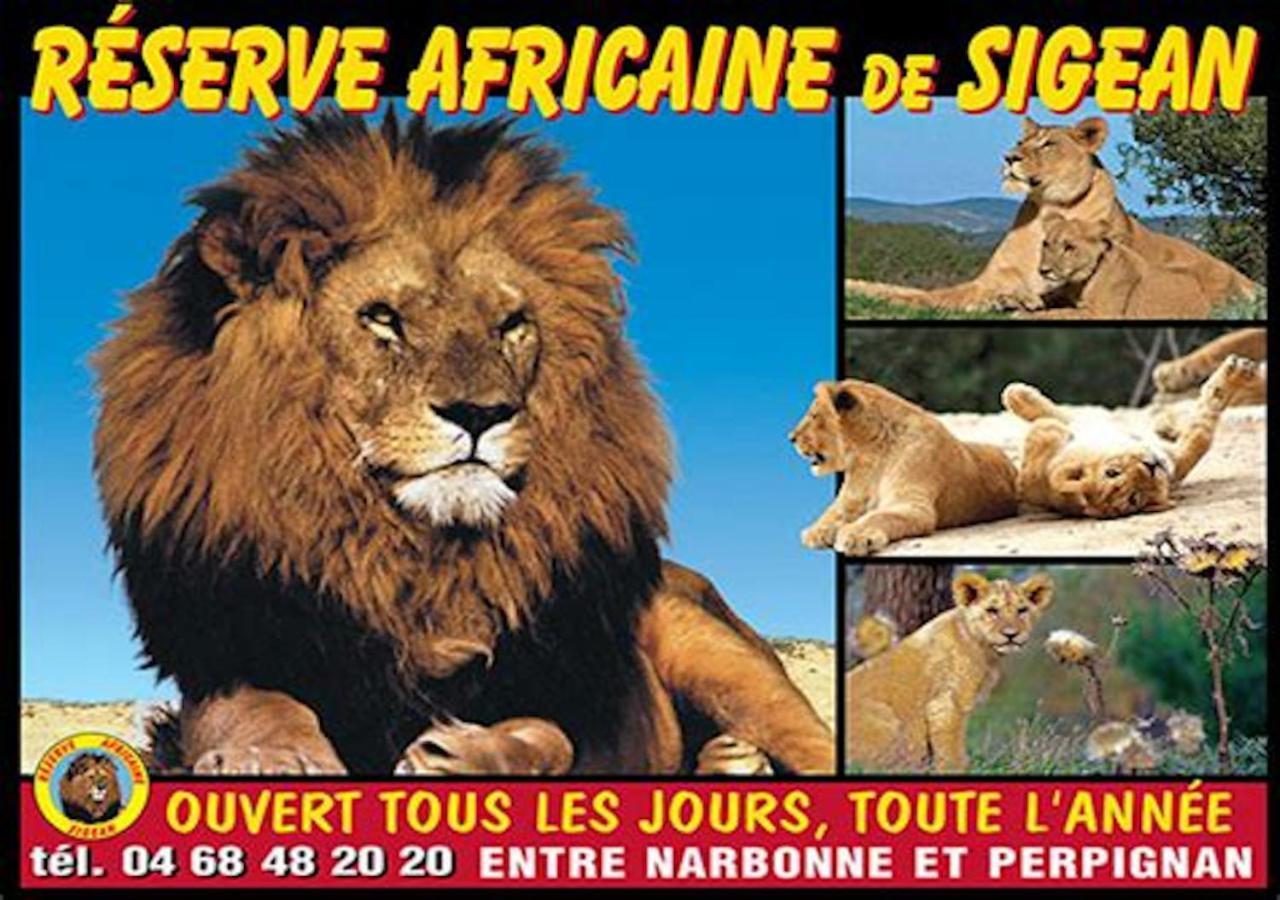 Agreable Maison De Famille Sur Gite Echarou Sigean Exteriér fotografie